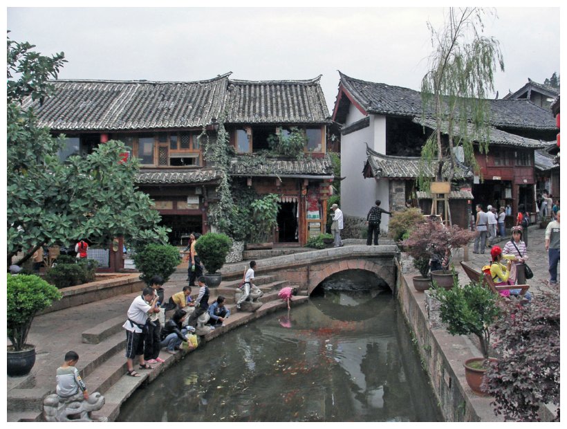 46 tygr a lijiang